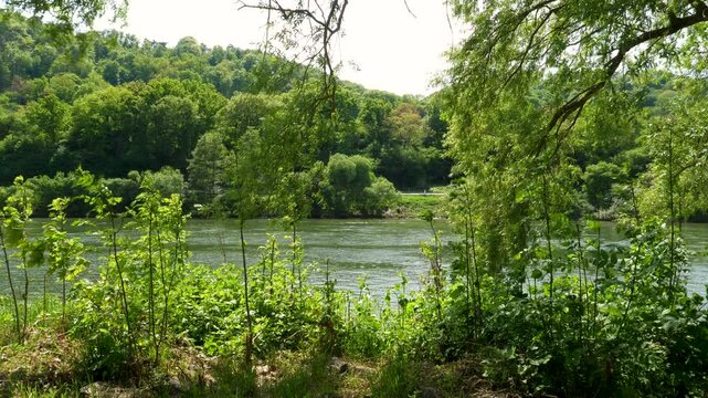 River Mosel, water and riverbank. Winningen, Germany