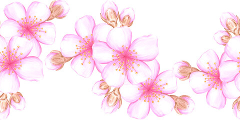 Hand drawn watercolor cherry blossom seamless border. Illustration of spring flowers isolated on white background. Can be used for textile, fabric, wrapping and other printed products.