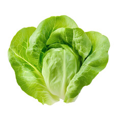 Fresh, Crisp Romaine Lettuce Head Isolated on White Background for Healthy Eating and Cooking Ideas