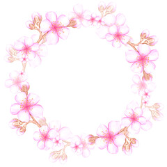 Hand drawn watercolor cherry blossom branch wreath frame border isolated on white background. Can be used for postcard, album, scrapbook and other printed products.