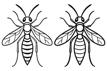 Two stylized wasps display their distinctive stripes and veined wings on a transparent background