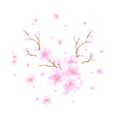 Hand drawn watercolor cherry blossom bouquet round label wreath frame border isolated on white background. Can be used for postcard, album, scrapbook and other printed products.