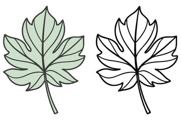 A light green leaf is paired with its monochrome outline on white background