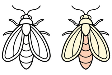 An outlined moth and a colored moth side by side are featured over white
