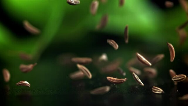 Cumin seeds fall on the table. Filmed on a high-speed camera at 1000 fps. High quality FullHD footage