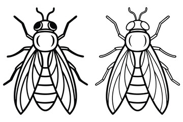 Two fly outlines display symmetrically on a white background, showcasing insect anatomy
