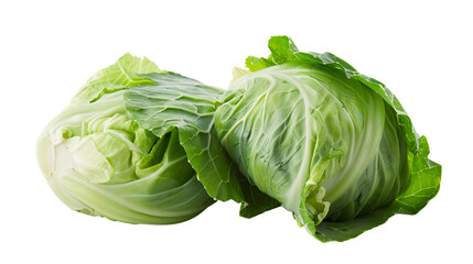 cabbage isolated on white background