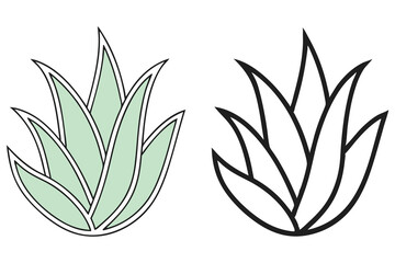 Outlined agave plant displays a soothing green color and bold monochrome contrast on a transparent background