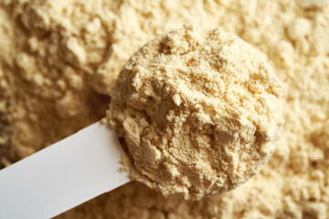 Whey protein powder in a measuring scoop, top view