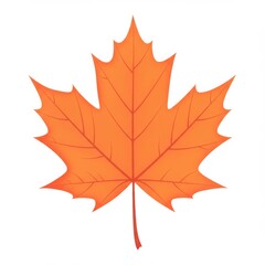 Orange Maple Leaf on White Background