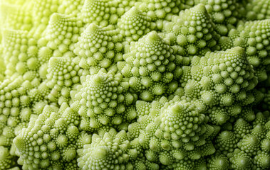 Romanesco cauliflower close-up. Fractal structure on Romanesco broccoli or Roman cauliflower...