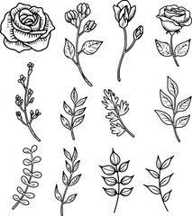 Set of hand drawn leaves, branches, flowers, flourishes. Design element for banner, sign, poster, decoration. Vector illustration