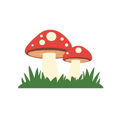 Bright red mushrooms grow on green grass in nature PNG on a transparent background 