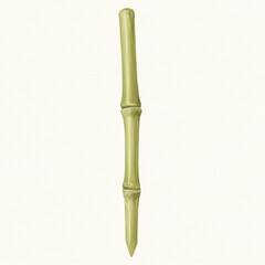 Fototapeta premium Pale Green Bamboo Stick on White Background
