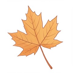 Obraz premium Orange and Brown Autumn Maple Leaf Illustration