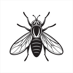 Obraz premium flying housefly vector icon