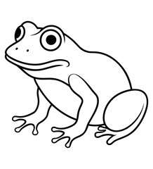 Frog Sketch
