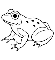 Frog Sketch