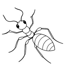 Ant Sketch