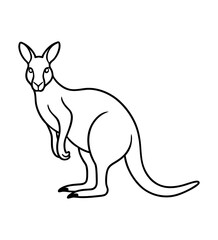 Kangaroo Sketch
