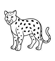 Jaguar Sketch