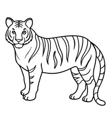 Tiger Sketch