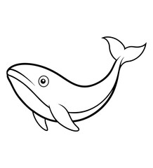 Whale Sketch