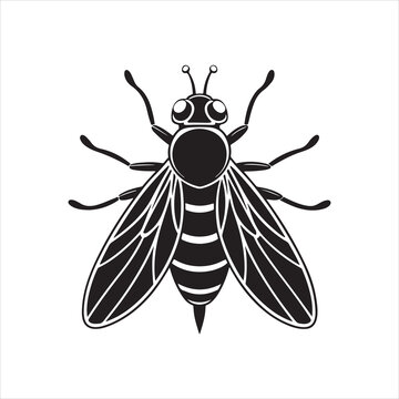 black and white bee insect clip art preview