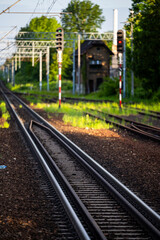 A view of the of railway tracks, switches and signals.