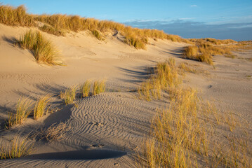 Strand der Nordsee bei Blavand, Dänemark