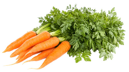 A bunch of orange carrots with leafy green tops, isolated on white background