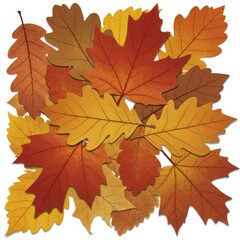 Obraz premium Autumn Leaves Collection: Red Orange Yellow Brown Maple Oak