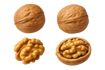 Different views of walnuts, including whole walnuts in their shells and shelled walnuts showing the edible inner part. Concept Whole Walnuts in Shell, Shelled Walnuts, Cross-section of Walnuts