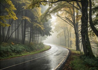 Naklejka premium Winding Road Through a Misty Autumn Forest Landscape
