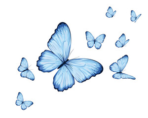 blues butterfly flock watercolor design