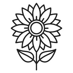 sunflower vector illustration Pro Vector