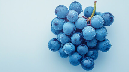delicious photography full of vitamins