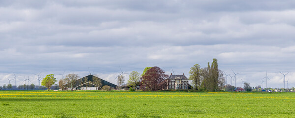 Scenic view of a traditional large farm house (Herenboer) surrounded by old trees in Oldambt Groningen The Netherlands.