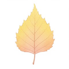 Fototapeta premium Yellow and Orange Birch Leaf Illustration