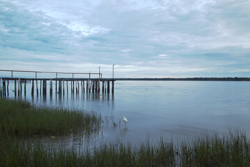Wooden logs pier in a foggy morning. Green vegetation on the shore, white heron standing on water, silhouettes on horizon line.