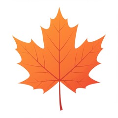 Orange And Red Maple Leaf Illustration On White Background