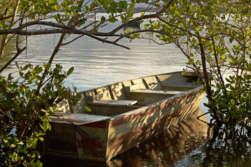 Boat anchored in middle mangrove vegetation in sunset time, reflections calm water, no people, 