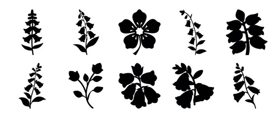 Black and White Botanical Illustration with Diverse Flower Silhouettes © Shimu Studio