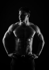Fitness model