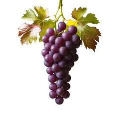 Obraz premium Grapes image with transparent background