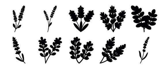 Fototapeta premium A collection of black silhouette style lavender and leaf botanical illustrations
