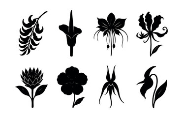 Exotic flower silhouettes icons set – fern, lily, orchid, gloriosa, protea, hibiscus. Vector icons set