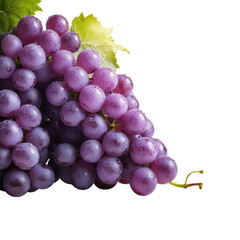 Fototapeta premium Fresh Purple Grapes with Green Leaves Isolated