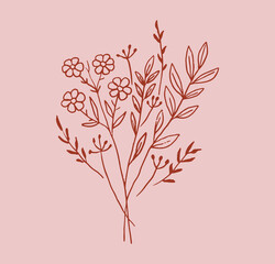 Set of flowers and plants trendy botanical elements. Hand drawn line minimalistic, bouquet