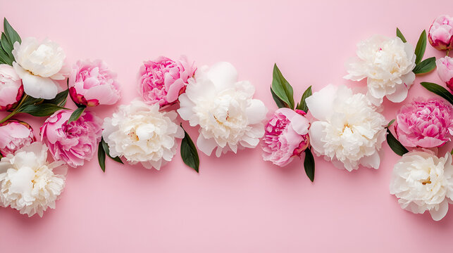 photo of elegant border banner featuring lush peonies arranged gracefully along the edges on a soft pastel pink background. The composition is delicate and airy, with pink, white, and blush peonies cr